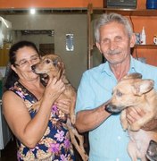 Apaixonados por animais, idosos cuidam de 73 cachorros dentro de casa em Arapiraca