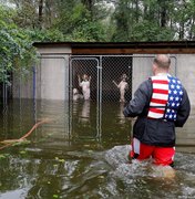 Fotógrafo narra resgate de cães presos em canil durante enchente provocada por furacão Florence