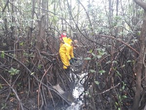 Corpo de homem é encontrado em manguezal de Maragogi