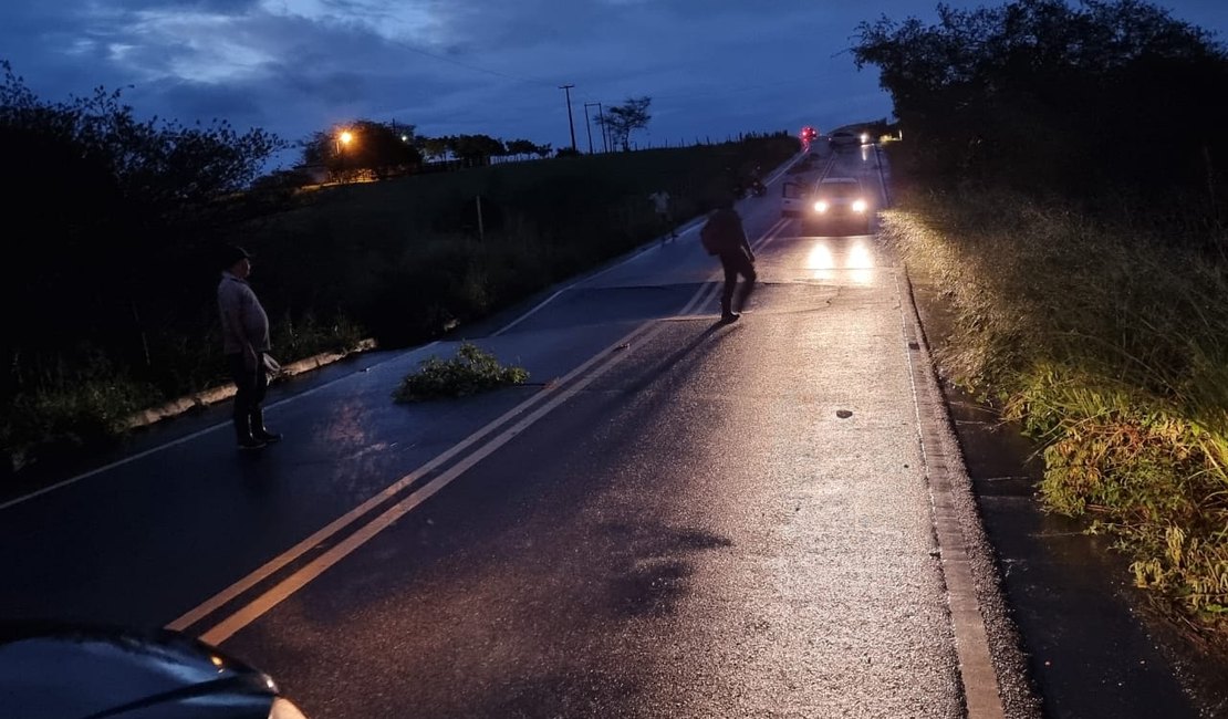 [Vídeos] Chuvas destroem estradas vicinais e rodovias estaduais no Agreste alagoano