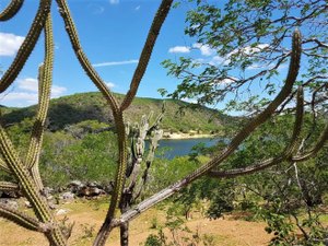 Temperatura em Alagoas pode chegar a 39º neste domingo