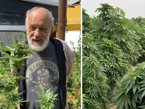 Ex-ator da Globo mostra plantação de maconha em seu sítio: 'Para consumo próprio'
