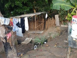 Cavalo morre após cair em fossa desativada na parte alta de Maceió