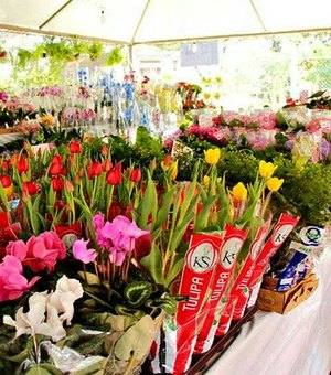 Festival das Flores de Holambra chega a Maceió nesta quinta-feira (27)